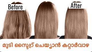 മുടി സ്ട്രൈറ് ചെയ്യാൻ കറ്റാർവാഴ  Hair Straightening with Aloe Vera [upl. by Ive]