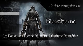 Bloodborne Guide FR Tutos Les Donjons Calices dans Bloodborne [upl. by Marielle268]