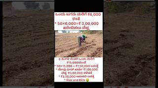 Risk and Rich dairyfarm short dairyfarminginkannada hainugarikeinformationinkannada [upl. by Rotman]