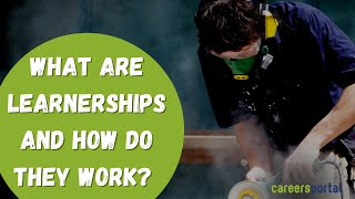 What Are Learnerships And How Do They Work  Careers Portal [upl. by Leziar]