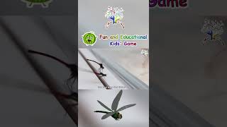 The Dragonfly Song  Fun Animal Songs for Kids  EduFam Nursery Rhymes [upl. by Oirramaj525]