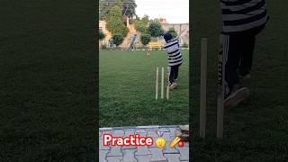 Executing Perfect Yorkers🏏🥇 cricket viratkohli rohitsharma cricketlover cricketnews trending [upl. by Morocco]