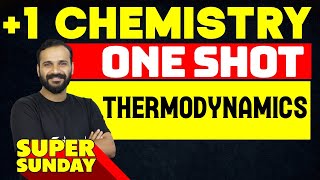 Plus One Chemistry  Thermodynamics  One Shot  Eduport [upl. by Juliann554]