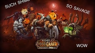 The Story of Warlords of Draenor  Full Version Lore [upl. by Skill]