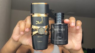 Is THIS The Best CLONE Fragrance Lattafa Asad Fragrance Review [upl. by Mailiw]