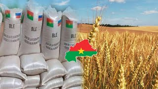 Suspension de l importation de la farine de blé au Burkina les contours de cette décision [upl. by Katya218]