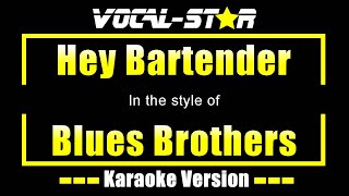 Hey Bartender Karaoke  Blues Brothers Karaoke Version [upl. by Tawney68]