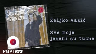 Željko Vasić  Sve moje jeseni su tužne  Official Audio [upl. by Kimble299]