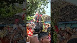 JAI MAA MANIKESHWARI 🙏🙏 chhatar jatra bhawanipatna 2024 [upl. by Ultima676]