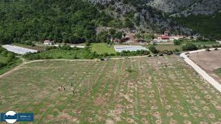 Sadnja maslinika Poprati Stolac  Eko park Bartoli [upl. by Naras794]