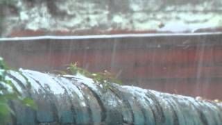 Jarrow Floods 5th Aug 2012 [upl. by Atiragram]