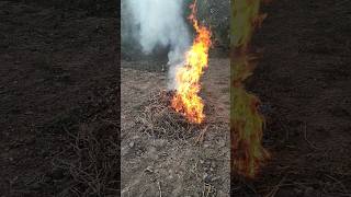 Beautiful Slow Motion Fire Video shorts [upl. by Jacobsen604]