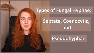 Types of Fungal Hyphae Septate Coenocytic and Pseudohyphae [upl. by Kelby413]