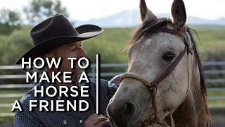 How to make a horse a friend One cowboys partnership with horses [upl. by Merle99]