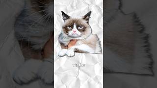 Grumpy Cat Meme’s Backstory meme grumpycat memeculture funnycats internetmemes tardarsauce [upl. by Nacul]