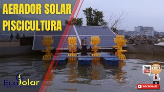 Sistema de Aerador Solar para Piscicultura [upl. by Jacobine]