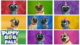 Bingo and Rollys Birthday  Music Video  Puppy Dog Pals Disney Junior [upl. by Nidorf345]