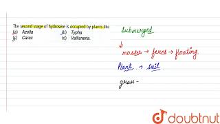 The second stage of hydrosere is occupied by plants like [upl. by Niltak]