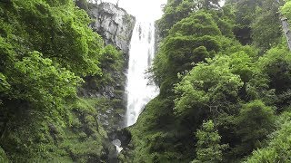 Pistyll Rhaeadr the highest waterfall in Wales [upl. by Azerila3]