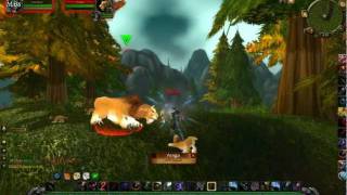 Araga Tame  Rare Spawn Cat in Hillsbrad Foothills [upl. by Garrity]