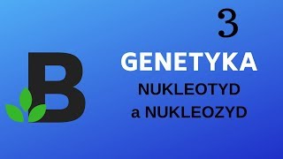 NUKLEOTYD a NUKLEOZYD  genetyka  KOREPETYCJE z BIOLOGII  189 [upl. by Jarrow34]