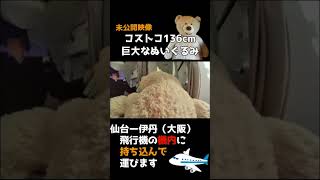 Costcoクマが飛行機に初挑戦！未公開映像 [upl. by Aehsila255]