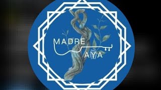 Família Madre Aya  Mãe Ayahuasca [upl. by Ahsienel785]