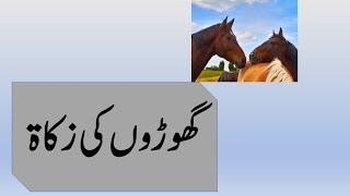 گھوڑوں کی زکاۃ how zakat will be paid out from Horses [upl. by Naie546]