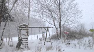 Sneeuwval op 24 januari 2015 Ardennen [upl. by Ynittirb]