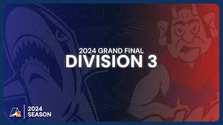 Henley v Lockleys Division 3 Grand Final Season 2024  Adelaide Footy League [upl. by Letty792]