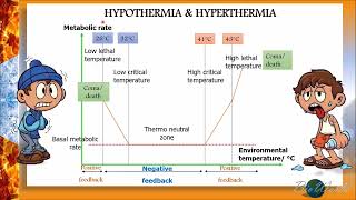 Hypothermia vs Hyperthermia [upl. by Claudy75]