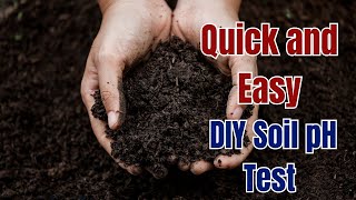 Quick and Easy DIY Soil pH Test You Can Do At Home [upl. by Sikko676]