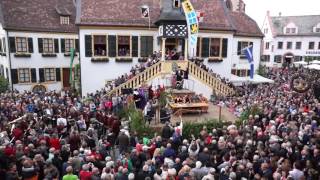 Geißbockversteigerung 2016 in Deidesheim [upl. by Ecirp]