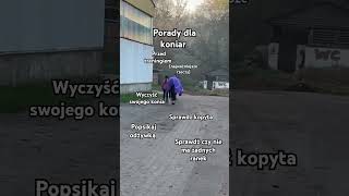 Porady dla koniar przed treningiem [upl. by Lossa]