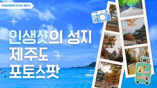 한국 관광하며 한국어 배우기인생샷 제주도 포토 스팟 용머리 해안 애월 새별오름 무지개 해안도로 제주 동백수목원 이오테우 해변 Korea한국어Korea tour [upl. by Aranahs]