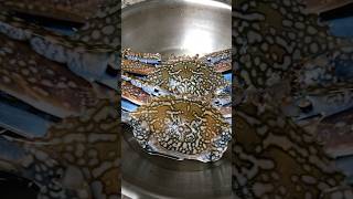 நண்டு pepper masala for this winter season crabmasalaintamil recipe tamilshorts dubaitamilvlogs [upl. by Mccowyn]