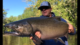 Chinook Salmon Skein Fishing  Great Lakes Bruisers [upl. by Brelje]