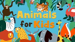 Animals for Kids  Learn Animal Names in English  Vocabulary for Kids [upl. by Zolnay]