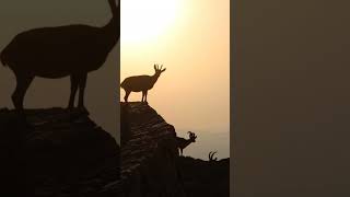 Mitzpe Ramon [upl. by Tabb114]