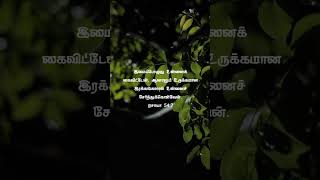 TODAY PROMISE WORDசத்திய விதைகள்shorts shortvideo shortsfeed [upl. by Docile]