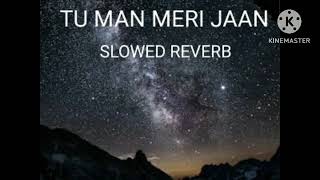 TU MAAN MERI JAAN SLOWED REVERB SONG [upl. by Sender376]