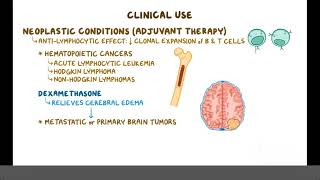 Glucocorticoids Pharmacology [upl. by Odlabso209]