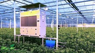 How to Control Greenhouse Humidity Levels [upl. by Leunamme638]