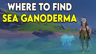 Where to find Sea Ganoderma spawn locations  Genshin Impact 16 [upl. by Yenahs]