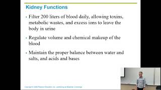 Urinary system part I [upl. by Halland]