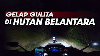 Dini Hari Di Hutan Belantara  Motovlog 343 [upl. by Einnod]