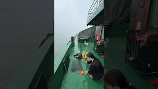 lives on a ship 😱 shortsfeed viralvideo viralshorts [upl. by Eicam133]