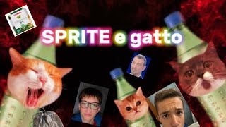 SPRITE e gatto SASSOALLE [upl. by Yrmac]