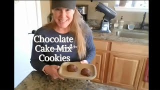 Chocolate Cake Mix Cookies [upl. by Lombardy831]