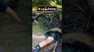 Big Dawg grabs Big Cat🐱 fishing [upl. by Eelytsirk]